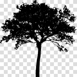 Clipart Tree Silohuette & Clip Art Images #14289 - clipartimage.com