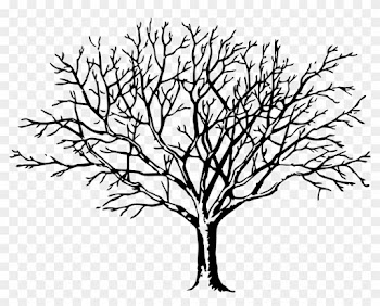 Clipart - Trees In Fall Drawing