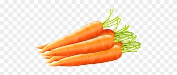 Clipart, Tube, Drinks, Food, Drink, Cocktails, Drinking, - Carrot