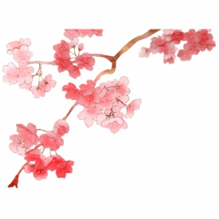 Clipart Wallpaper Blink - Anime Cherry Blossom Branch - cherry ...