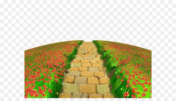 Clipping path Clip art - Stone Path with Flowers Ground PNG Clipart 