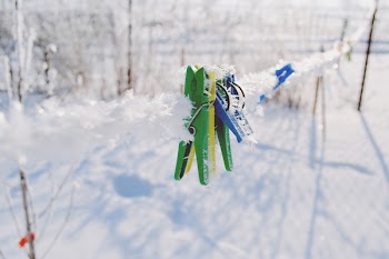 Clips in winter