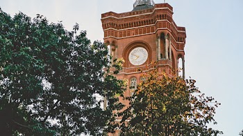 Clock Tower Near Trees at Daytime Photo