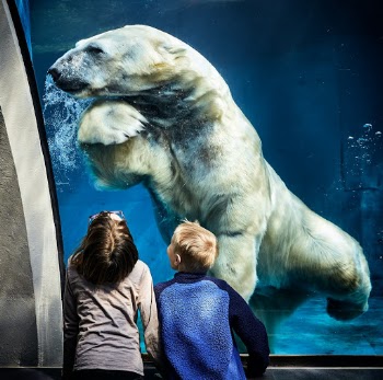 Close Encounter. In Pittsburgh Zoo.