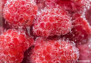 Close up bunch of fresh raspberries