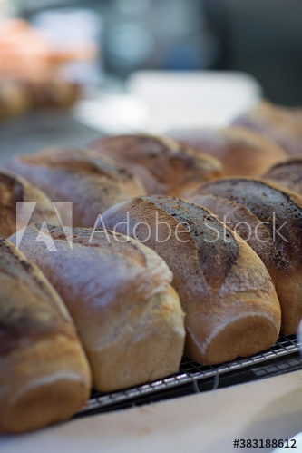 Close up fresh baked bread loves on rack
