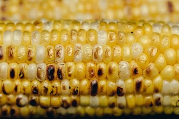 Close Up Grilled Corn