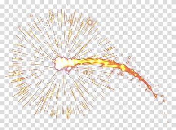 Close-up Line Organism Sky plc, line transparent background PNG clipart