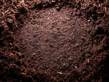 Close-Up Macro Soil Texture