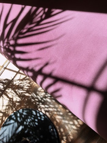 Close-up Of a Purple Fabric With The Shadow Of Plant Leaves