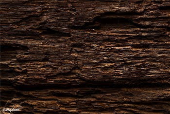Close up of a wooden plank | Free stock vector - 525303