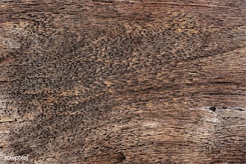 Close up of a wooden plank | Free stock vector - 525347