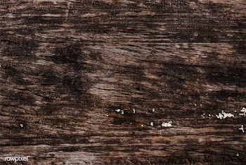 Close up of a wooden plank | Free stock vector - 525375