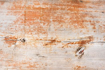 Close up of a wooden plank | Free stock vector - 525414