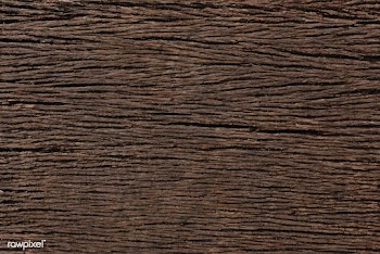 Close up of a wooden plank textured backgroun.. | Free stock vector - 525287