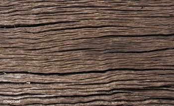 Close up of a wooden plank textured backgroun.. | Free stock vector - 525353