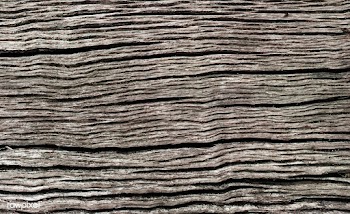 Close up of a wooden plank textured backgroun.. | Free stock vector - 525359