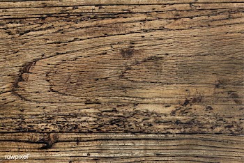 Close up of an old rustic plank | Free stock vector - 525275