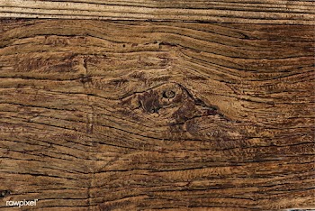 Close up of an old rustic plank | Free stock vector - 525281