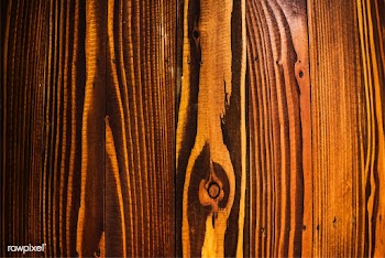 Close up of an old rustic plank | Free stock vector - 525348