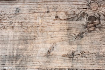 Close up of an old wooden floorboard | Free stock vector - 525380