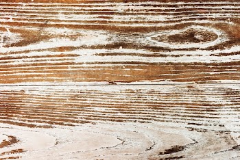Close up of an old wooden floorboard | Free stock vector - 525384
