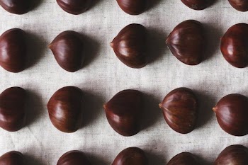 Close Up Of Chestnut Flatlay