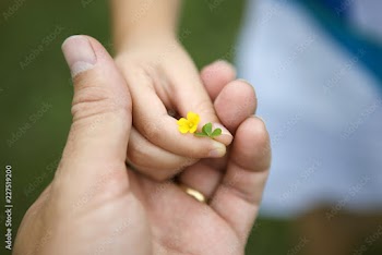 Close-up of child's hand giving flower to parent