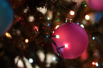Close-up of Christmas Tree at Night