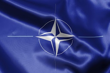 close-up of flag