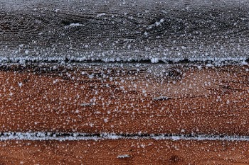 Close-up of Frosty Wood
