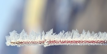 Close-up of Frozen Lake Against Sky during Winter