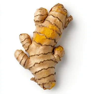 Close-up of Ginger Root Isolated on White Background in Bright Lighting Close-up of Ginger Root Isolated on White Background in Bright Lighting