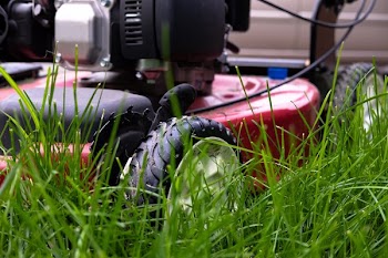 Close Up Of Grass And Mower