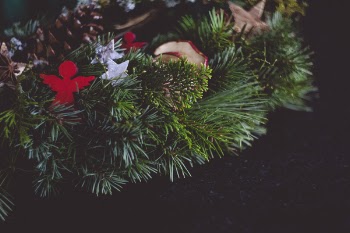 Close-up of Hand Holding Flower