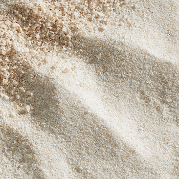 Close-Up of Light Beach Sand in Sunlight