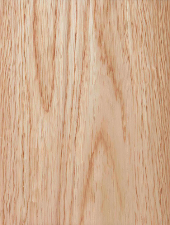 Close-up of Light Natural Wood Plank Surface