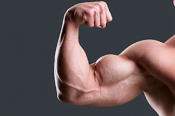 Close-Up of Muscular Flexed Arm