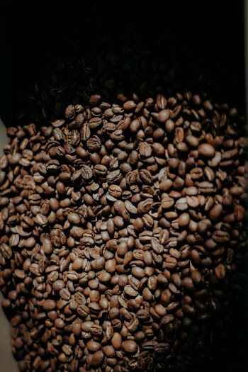 Close-Up of Roasted Coffee Beans