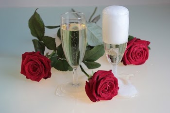 Close-up of Roses Against White Rose