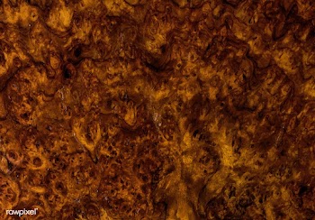 Close up of rustic textured wood pattern | Free stock vector - 525051