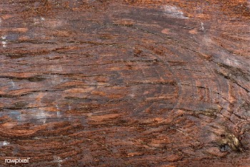 Close up of rustic textured wood pattern | Free stock vector - 525235