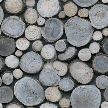 Close-Up of Rustic Wooden Log Wall