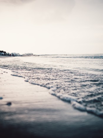 Close-up of Shoreline