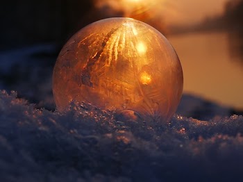 Close-up of Snow