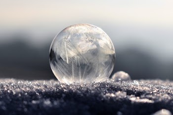 Close-up of Water