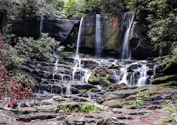 Close-up of Waterfall Against Trees