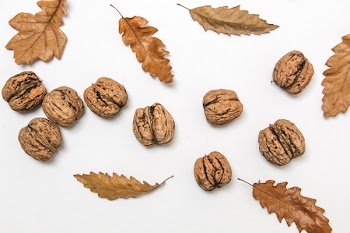 Close-up of White Background