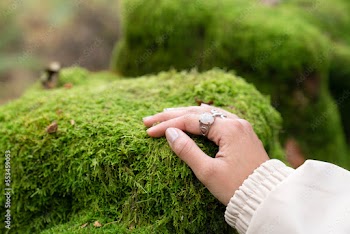 Close-up of woman touching moss