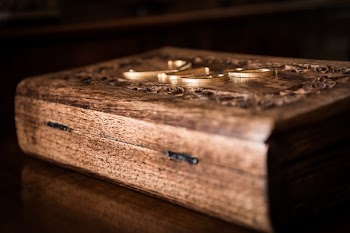 Close-up of Wood